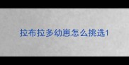 拉布拉多幼崽怎么挑选
