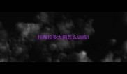 拉布拉多大狗怎么训练