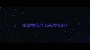 给边牧取什么英文名好