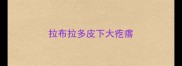 拉布拉多皮下大疙瘩