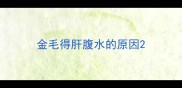金毛得肝腹水的原因