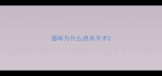 猫咪为什么绝育手术