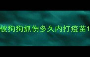 被狗狗抓伤多久内打疫苗