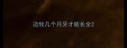 边牧几个月牙才能长全