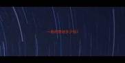 一般的泰迪多少钱