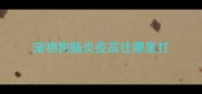 宠物狗脑炎疫苗往哪里打