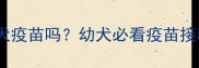 狗狗四联疫苗包含狂犬疫苗吗幼犬必看疫苗接种全攻略及避坑指南