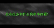 拉布拉多和什么狗串串好看