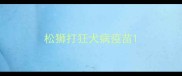 松狮打狂犬病疫苗
