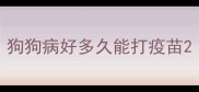 狗狗病好多久能打疫苗