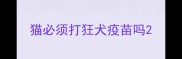 猫必须打狂犬疫苗吗