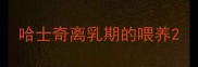 哈士奇离乳期的喂养
