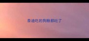泰迪吃的狗粮都吐了
