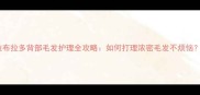 拉布拉多背部毛发护理全攻略如何打理浓密毛发不烦恼