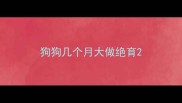 狗狗几个月大做绝育