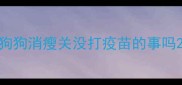 狗狗消瘦关没打疫苗的事吗