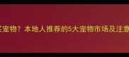 衡水哪里能买宠物本地人推荐的5大宠物市场及注意事项全攻略