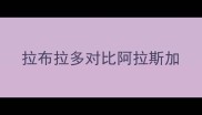 拉布拉多对比阿拉斯加