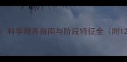 小奶猫成长时间表科学喂养指南与阶段特征全附120天发育对照表