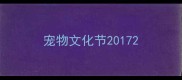 宠物文化节2017