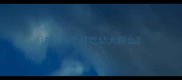 边牧两个月吃幼犬粮么