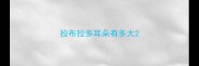 拉布拉多耳朵有多大