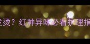 拉布拉多犬耳朵发红发烫红肿异味必看护理指南附专业解决方案