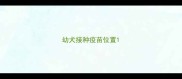 幼犬接种疫苗位置