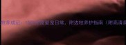 明星边牧养成记10位顶流爱宠日常附边牧养护指南附高清美图