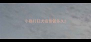 小猫打狂犬疫苗管多久