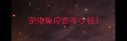 宠物兔疫苗多少钱