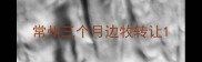 常州三个月边牧转让