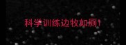 科学训练边牧如厕