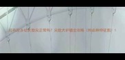 拉布拉多幼犬脸尖正常吗尖脸犬护理全攻略附品种特征图