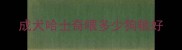 成犬哈士奇喂多少狗粮好