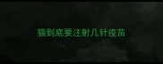 猫到底要注射几针疫苗