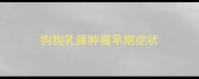 狗狗乳腺肿瘤早期症状