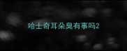 哈士奇耳朵臭有事吗