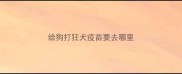 给狗打狂犬疫苗要去哪里