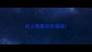 哈士奇喜欢吃猫粮