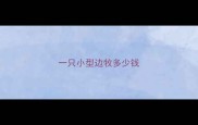一只小型边牧多少钱