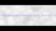 免费领养北京流浪动物救助基地公开领养流程与条件看如何领养一只健康狗狗