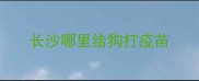 长沙哪里给狗打疫苗