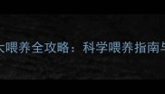 边境牧羊犬3个月大喂养全攻略科学喂养指南与成长关键期管理