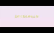 怎样才是纯种哈士奇