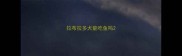 拉布拉多犬能吃鱼吗