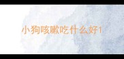 小狗咳嗽吃什么好