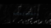 狗狗身上长的虱子