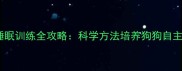 幼犬独立睡眠训练全攻略科学方法培养狗狗自主入睡能力