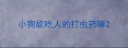 小狗能吃人的打虫药嘛